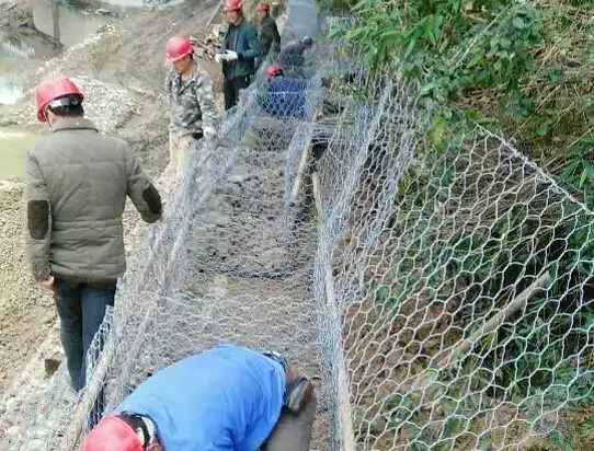 河道石籠網工程施工案例
