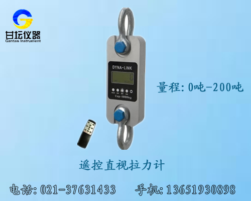 40噸直視拉力計_甘壇近期有特價(jià)